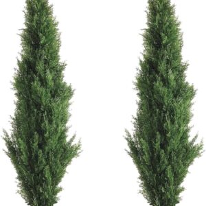 Two 5 Foot Outdoor Artificial Cedar Topiary Trees Potted Plants Two Peace Construction