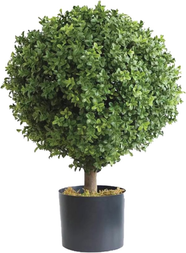 One 2 Foot Outdoor Artificial Boxwood Ball Topiary Bush Potted UV Rated Plant by Bagari